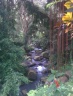Beautiful stream passing thru the Gunung Kawi