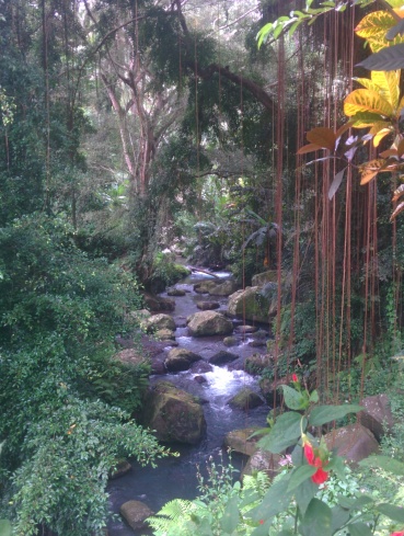 Beautiful stream passing thru the Gunung Kawi